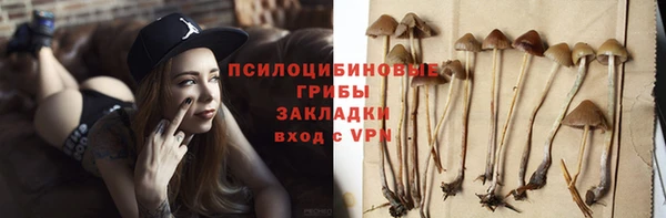 крисы Краснотурьинск
