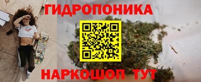 трава Ачхой-Мартан
