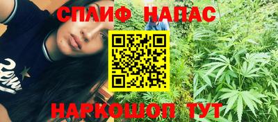 трава Ачхой-Мартан