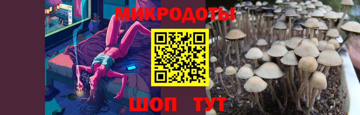Cocaine  Старая Русса  Метамфетамин  МАРИХУАНА  A PVP СК   МЕФ   Вход с VPN  Гашиш  ГАШИШ 